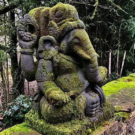 Leovil Bed & Breakfast